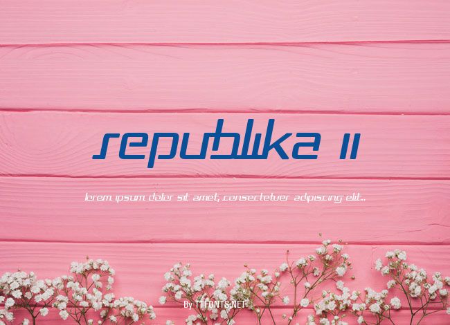 Republika II example